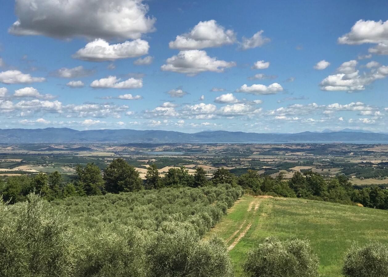 サルテアーノ Borgo Poggio Biancoヴィラ エクステリア 写真