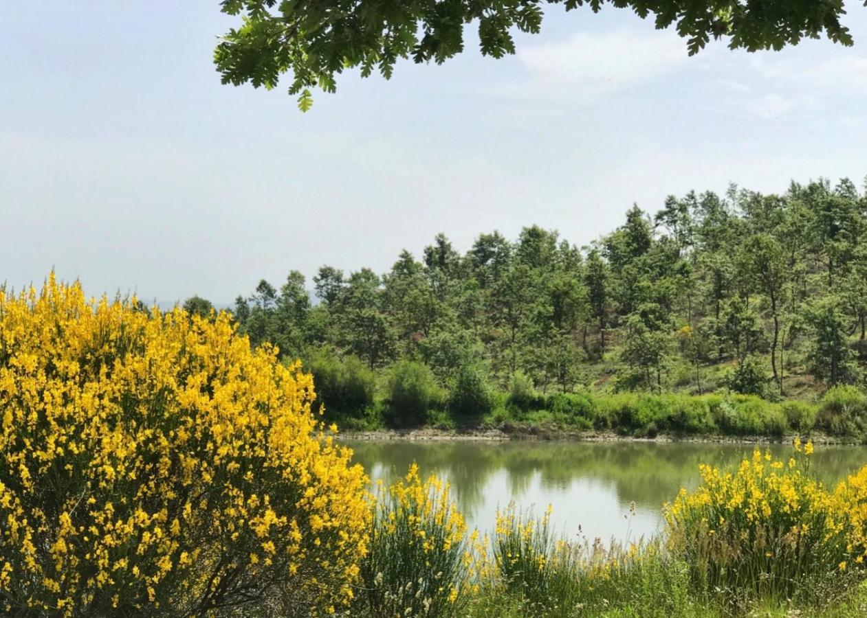 サルテアーノ Borgo Poggio Biancoヴィラ エクステリア 写真